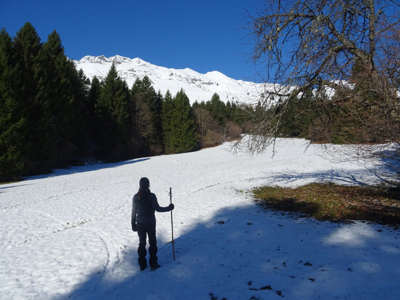 prime escursioni sulla neve....autunno  2019